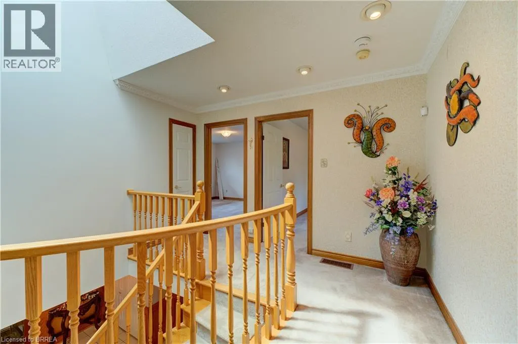 18 RIVA Ridge