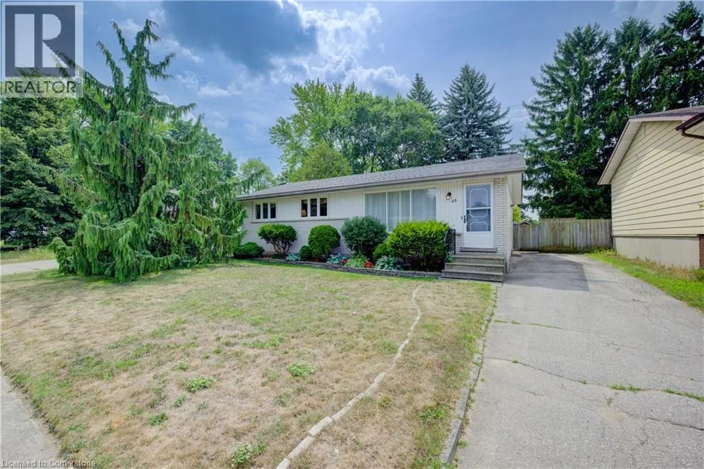 55 DREGER Avenue