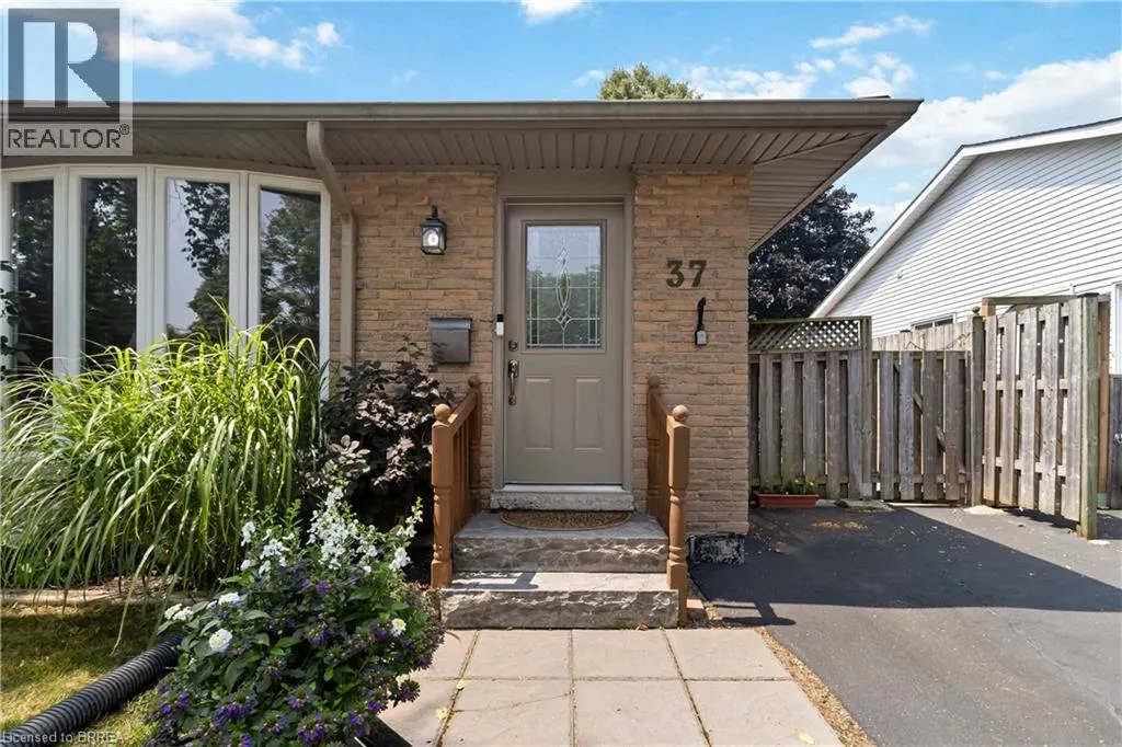 37 IVANHOE Road
