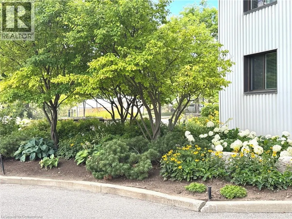 250 GLENRIDGE Drive Unit# 1103, #1103