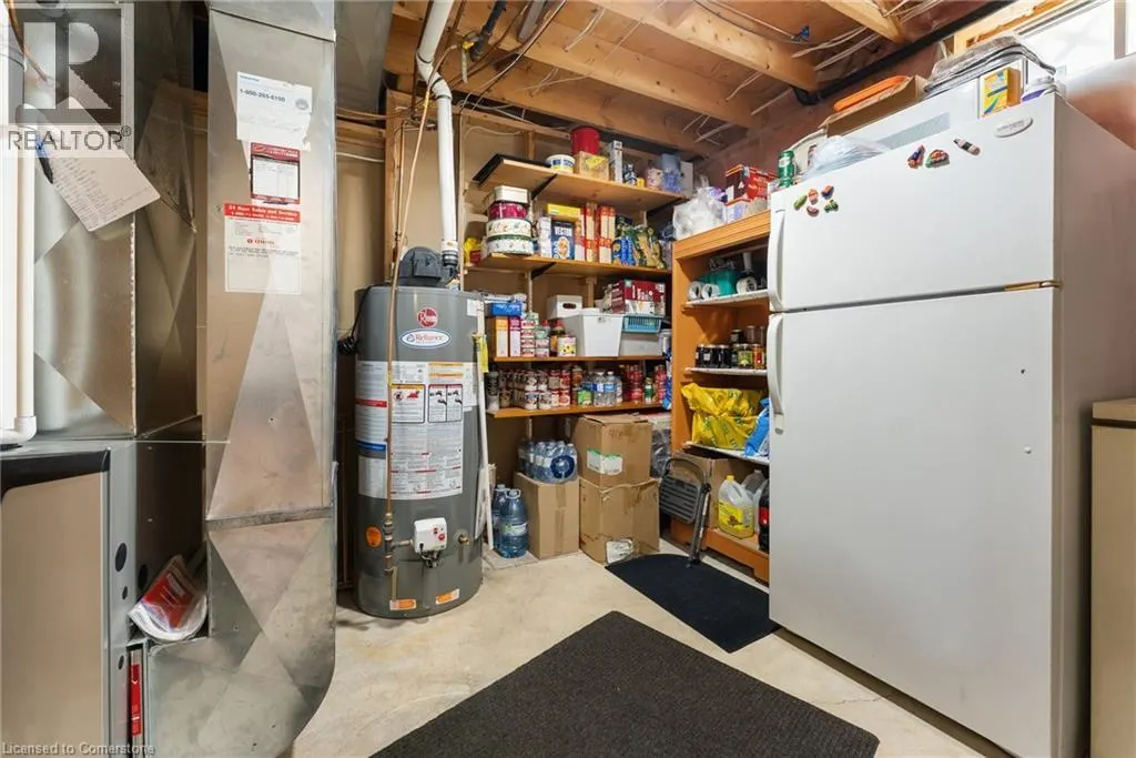 48 OLIVETREE Road