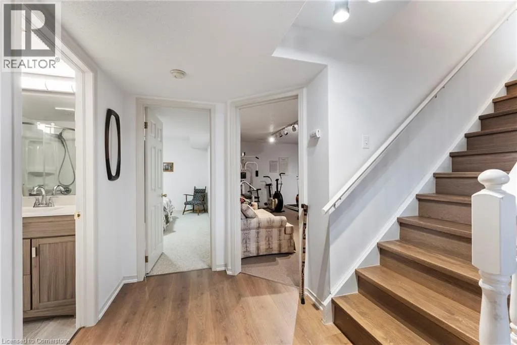 48 OLIVETREE Road