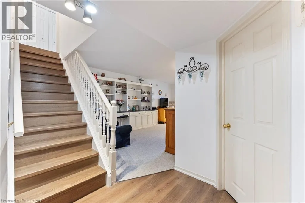 48 OLIVETREE Road