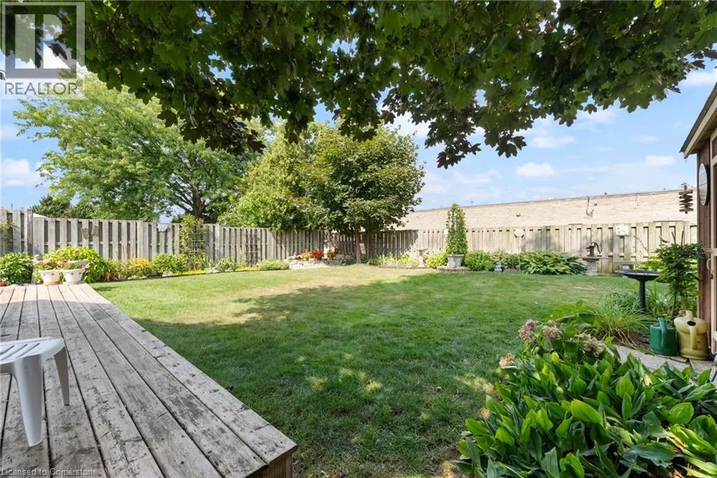 48 OLIVETREE Road