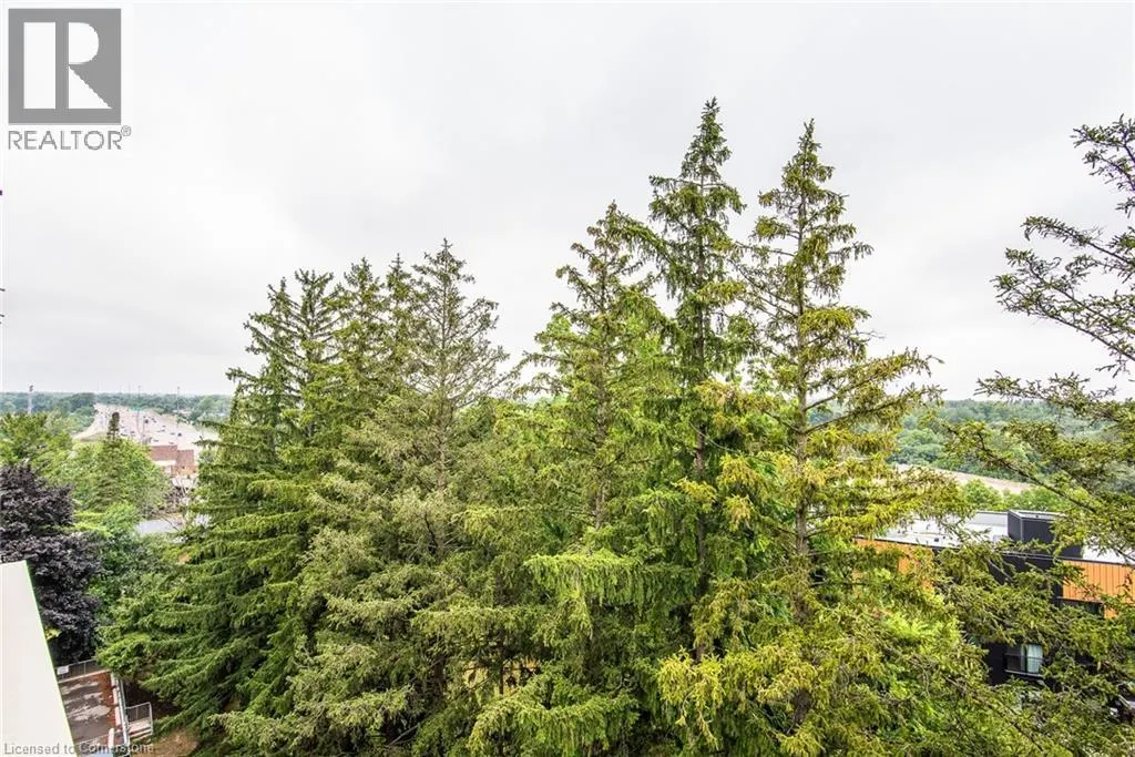 260 SHELDON Avenue N Unit# 807, #807