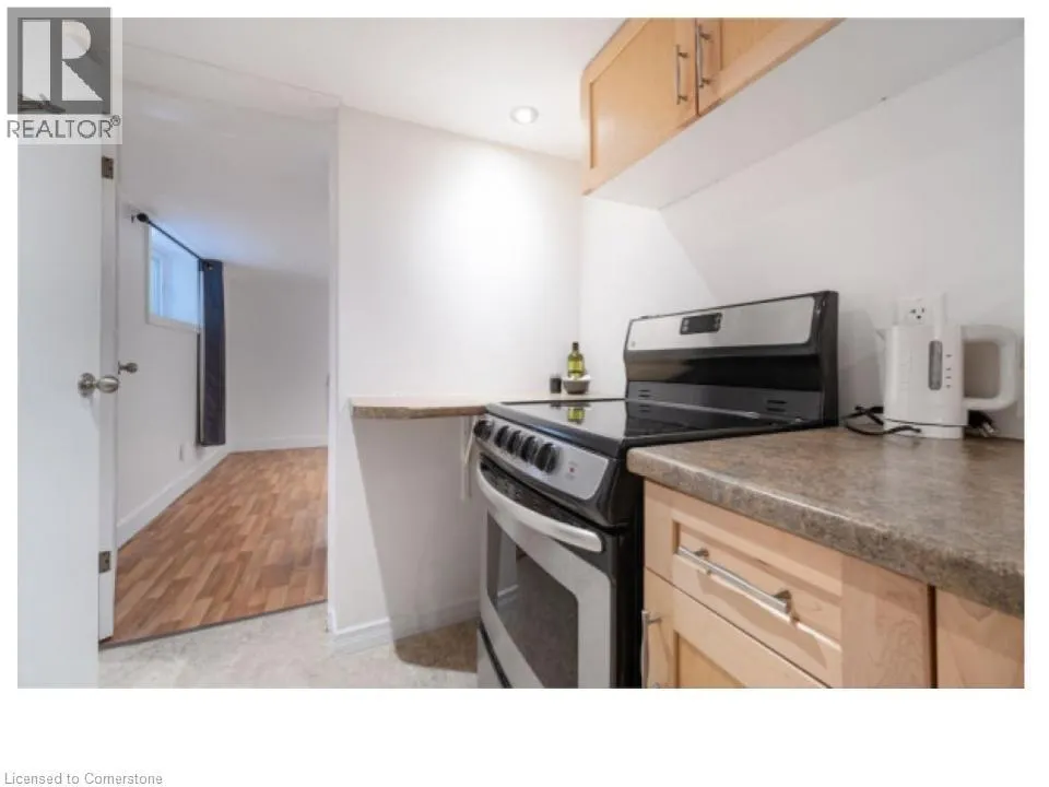 28 SPRING Street W Unit# Lower Level