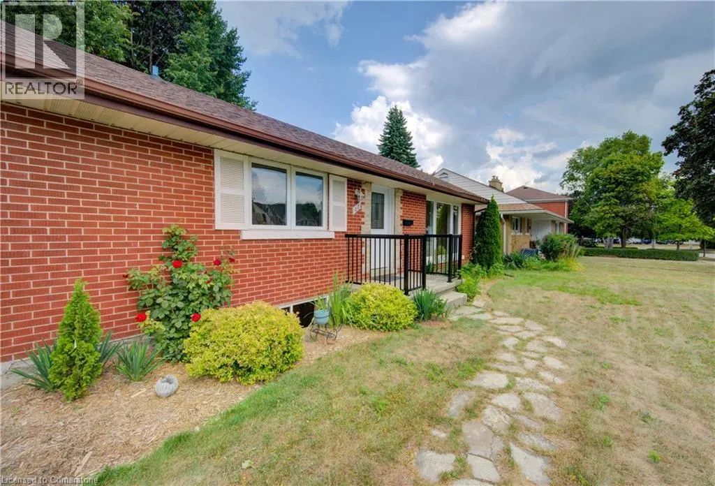 28 JACK Avenue