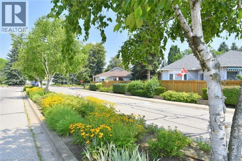 241 SILVERBIRCH Boulevard