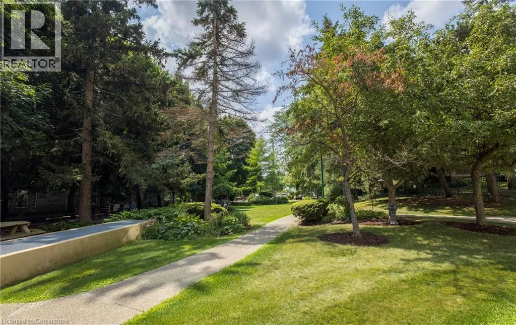100 MILLSIDE Drive Unit# 206, #206
