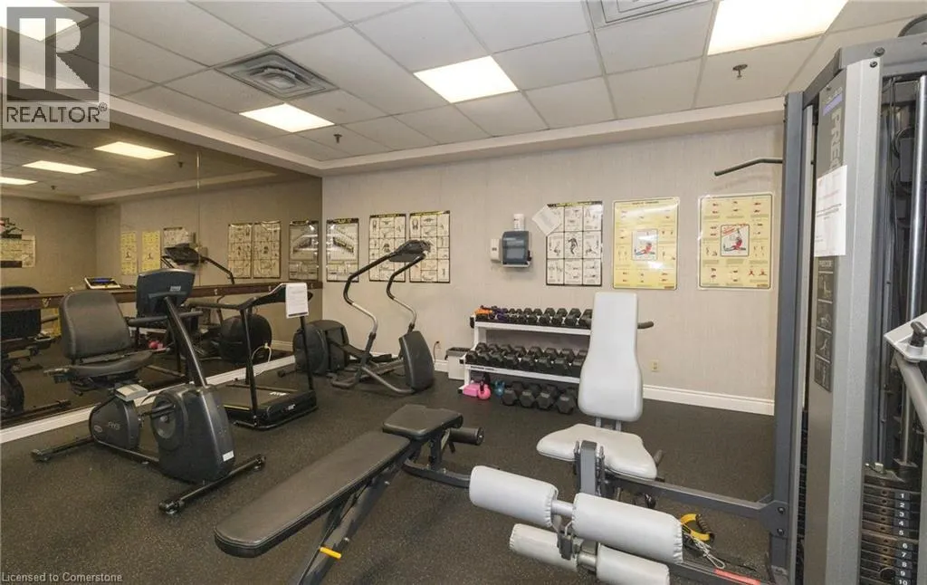 100 MILLSIDE Drive Unit# 206, #206