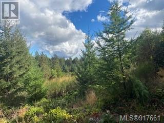 Listing 917661 - Large Photo # 3