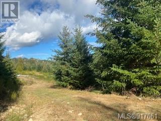 Listing 917661 - Large Photo # 6