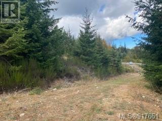 Listing 917661 - Large Photo # 8
