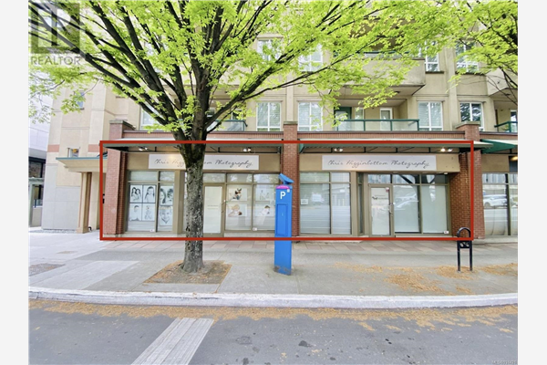 B,C 1011 Johnson St, Victoria