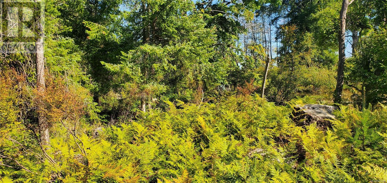 Lot 1 Quadra Island