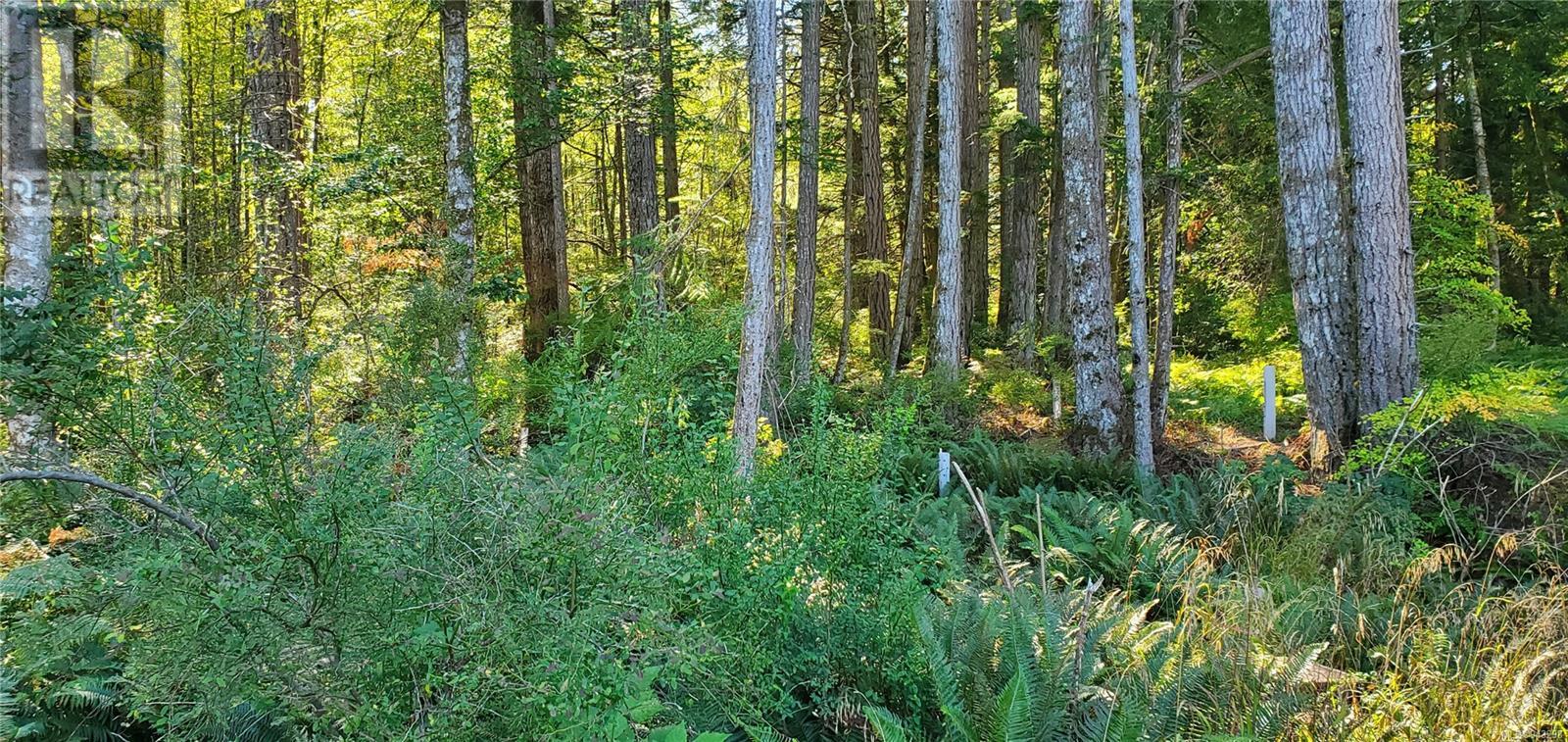 Lot 1 Quadra Island