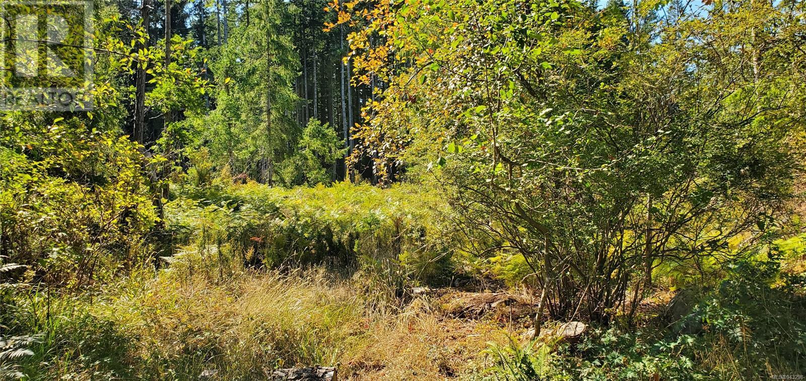 Lot 1 Quadra Island