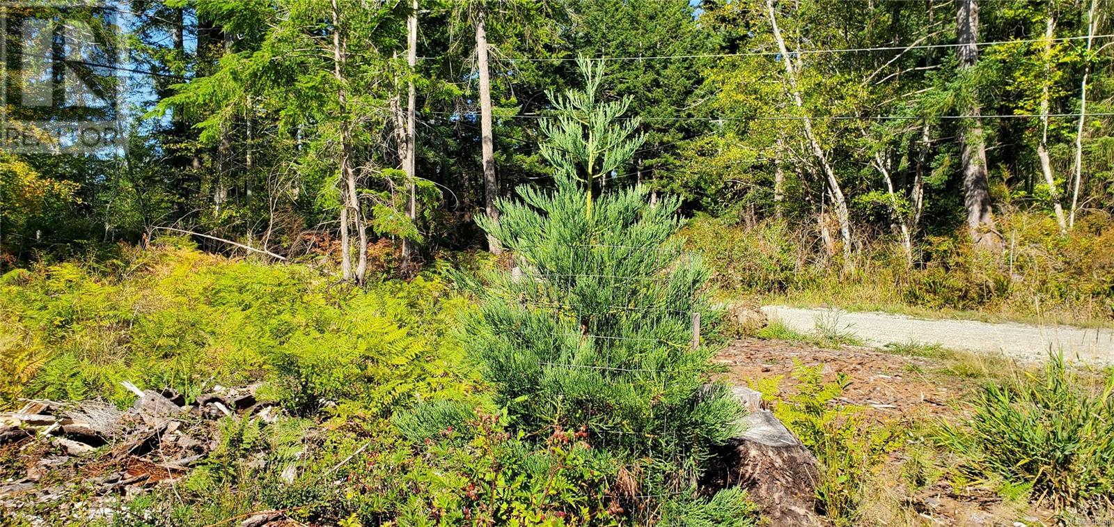 Lot 1 Quadra Island
