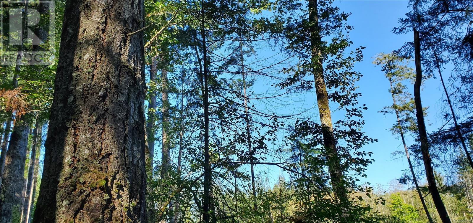 Lot 1 Quadra Island
