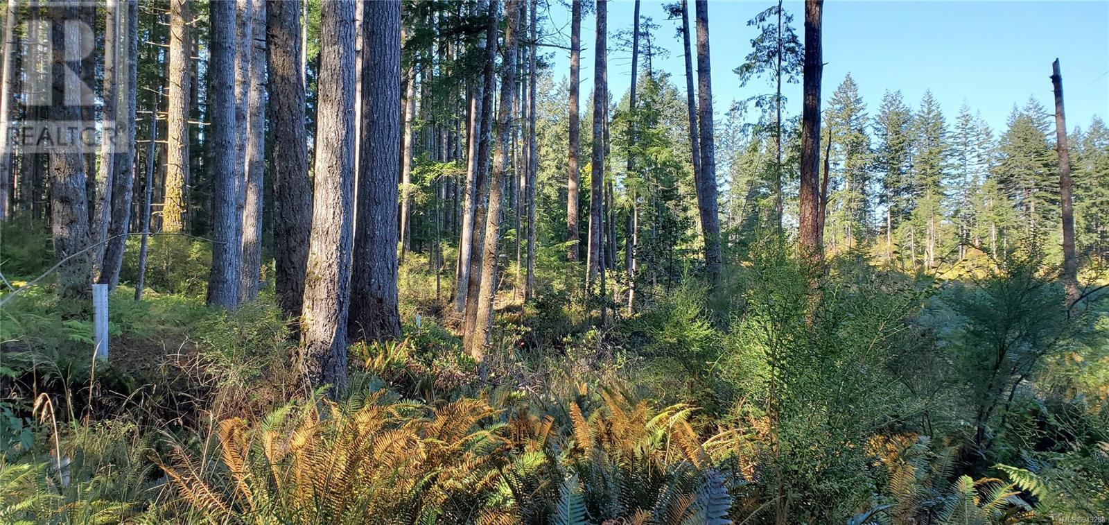 Lot 1 Quadra Island