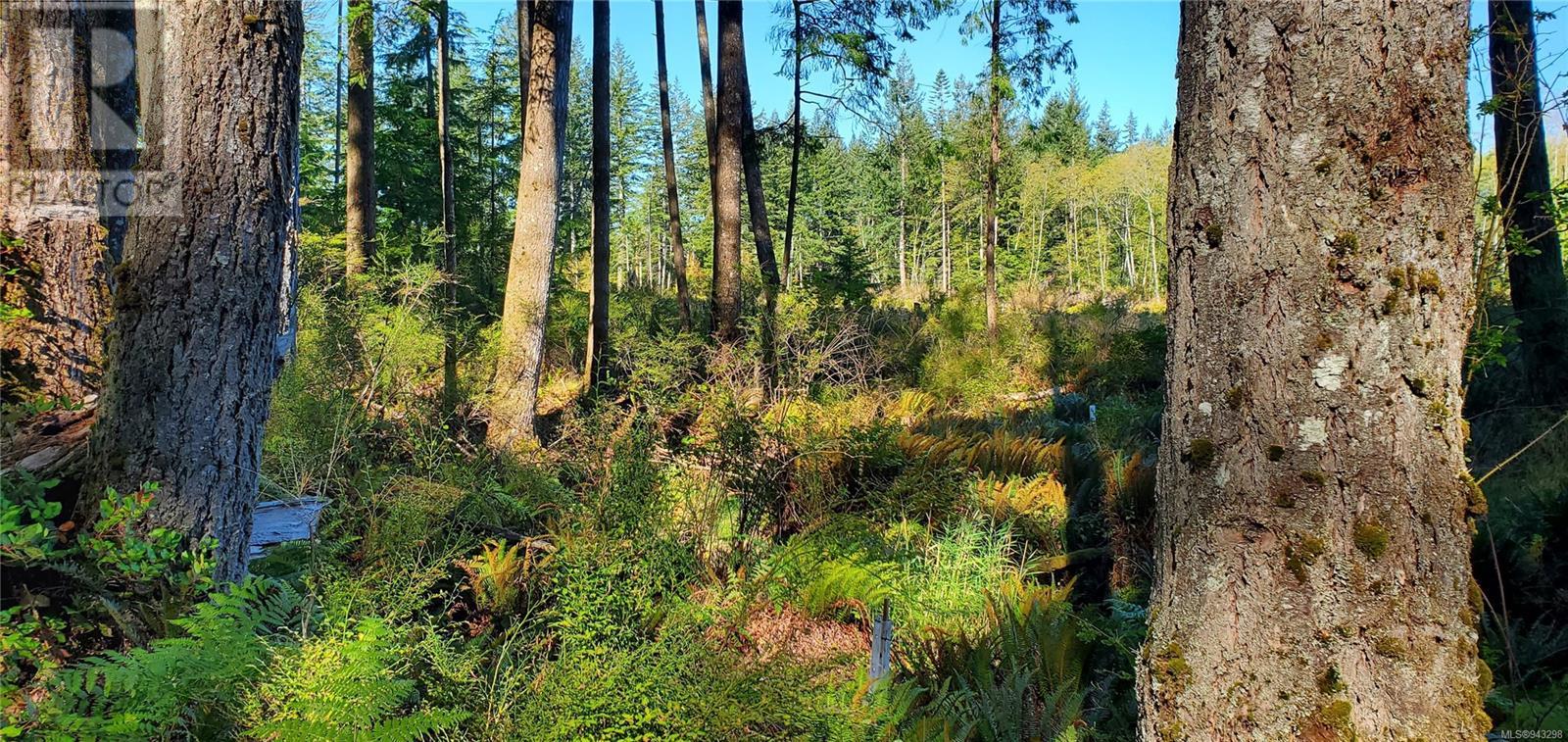 Lot 1 Quadra Island