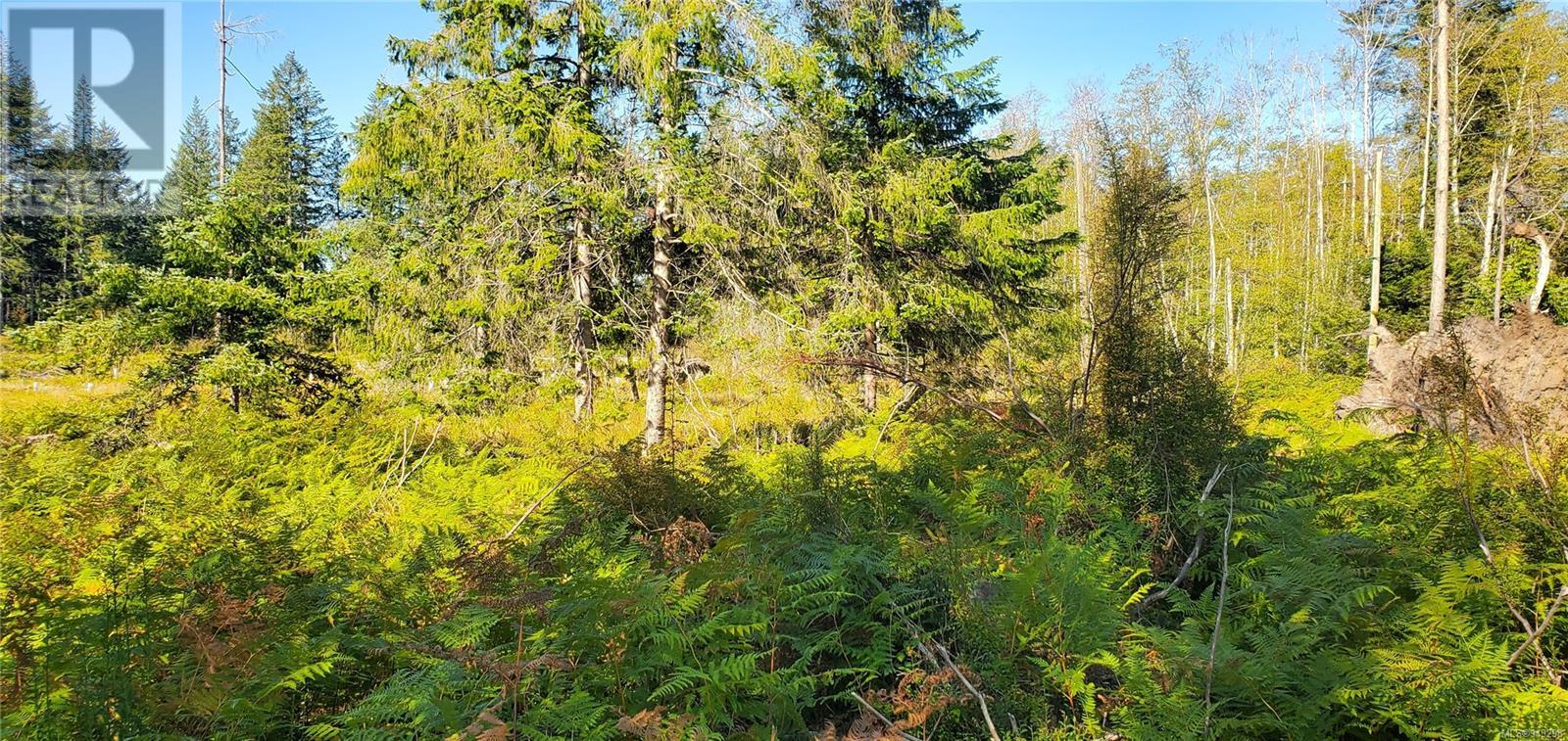 Lot 1 Quadra Island