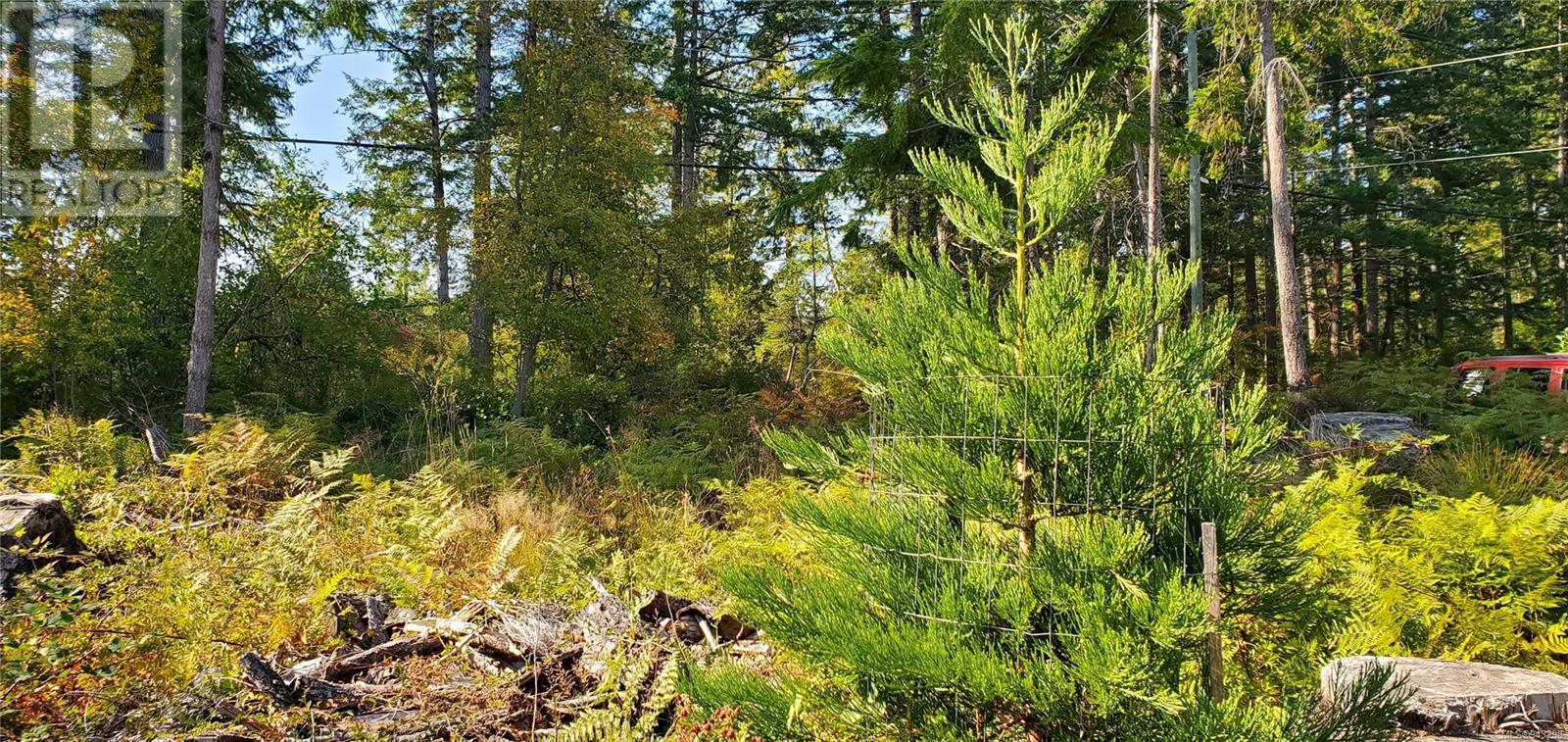 Lot 1 Quadra Island