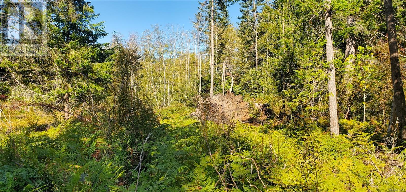 Lot 1 Quadra Island