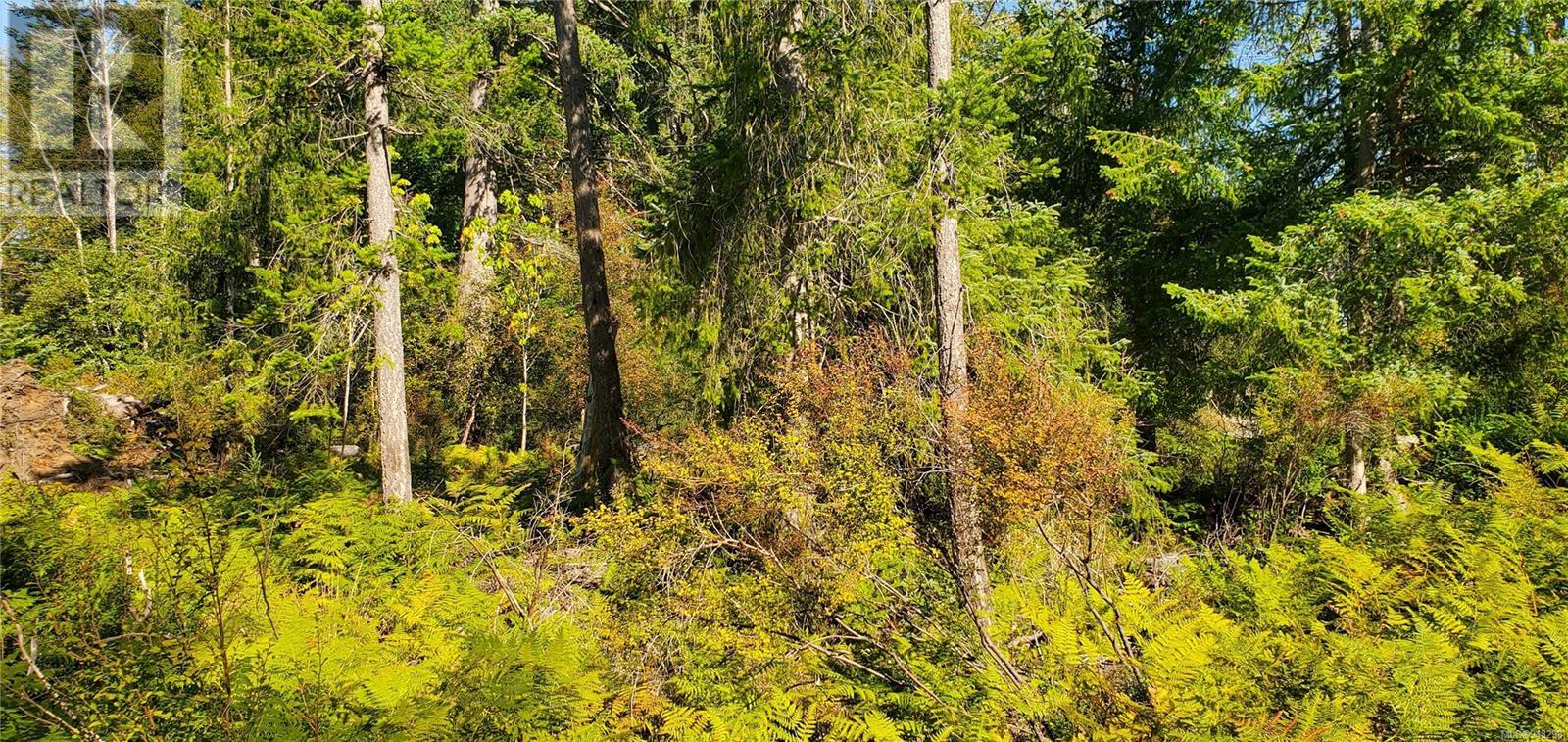Lot 1 Quadra Island