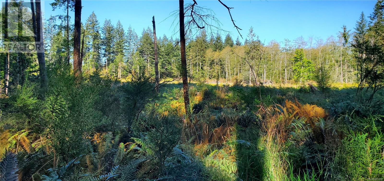 Lot 1 Quadra Island