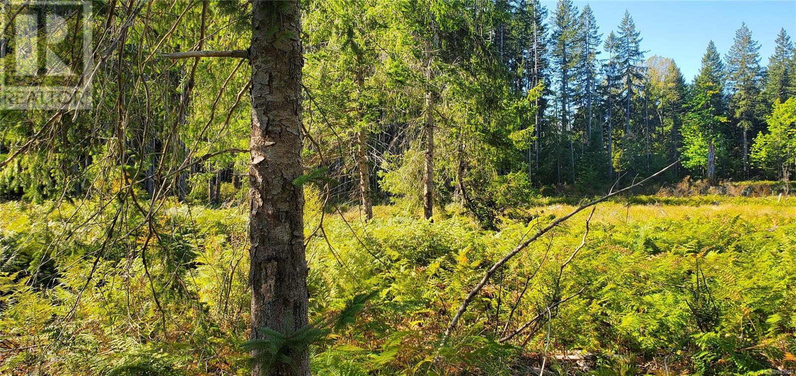 Lot 1 Quadra Island
