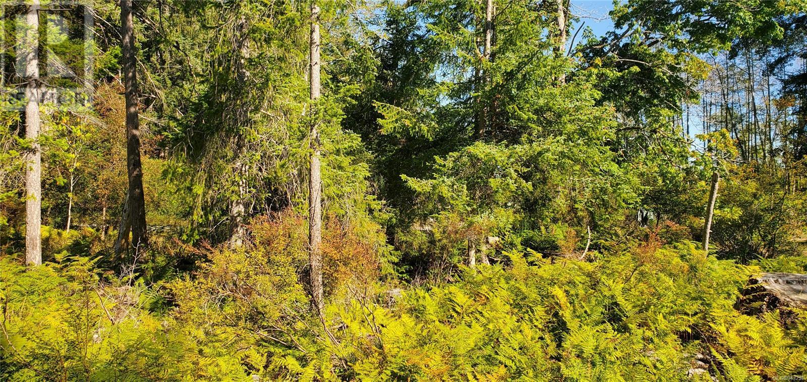 Lot 1 Quadra Island