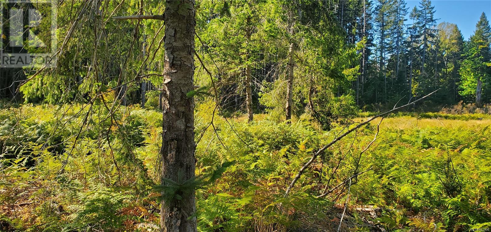 Lot 1 Quadra Island