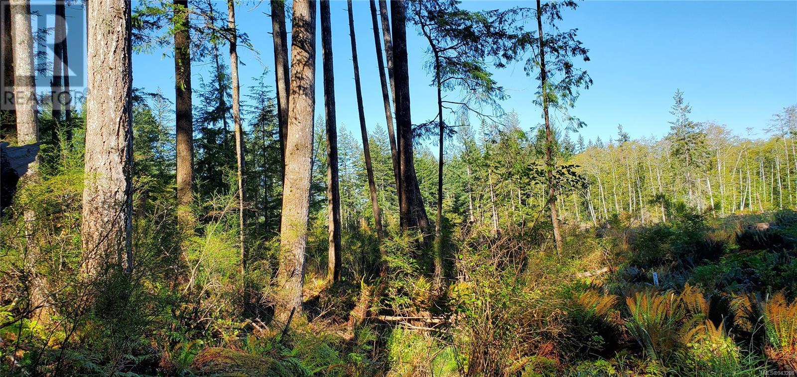 Lot 1 Quadra Island