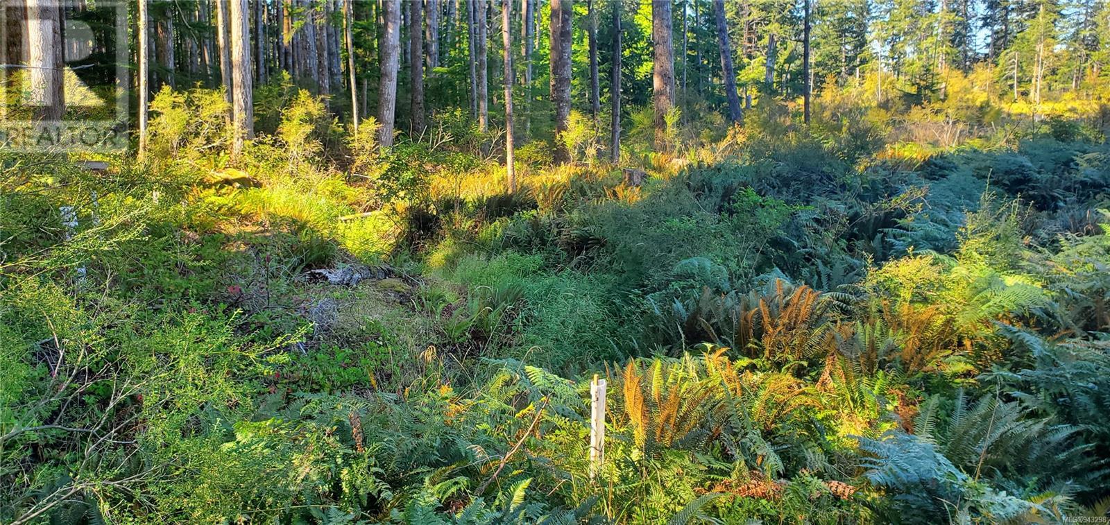 Lot 1 Quadra Island