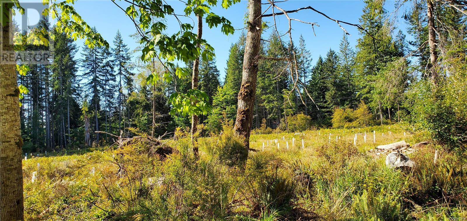 Lot 1 Quadra Island
