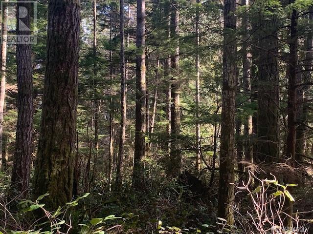 LOT B Wilfred Rd