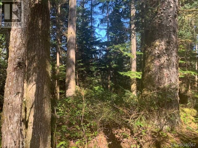 LOT B Wilfred Rd