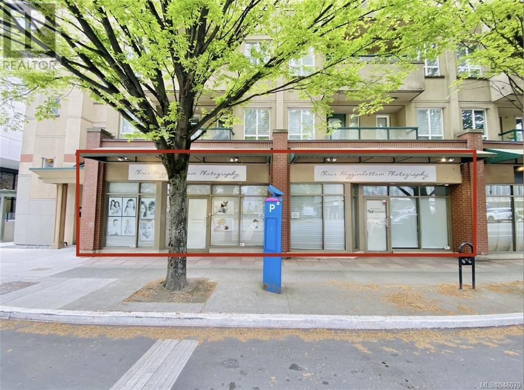 B,C 1011 Johnson St, #B,C