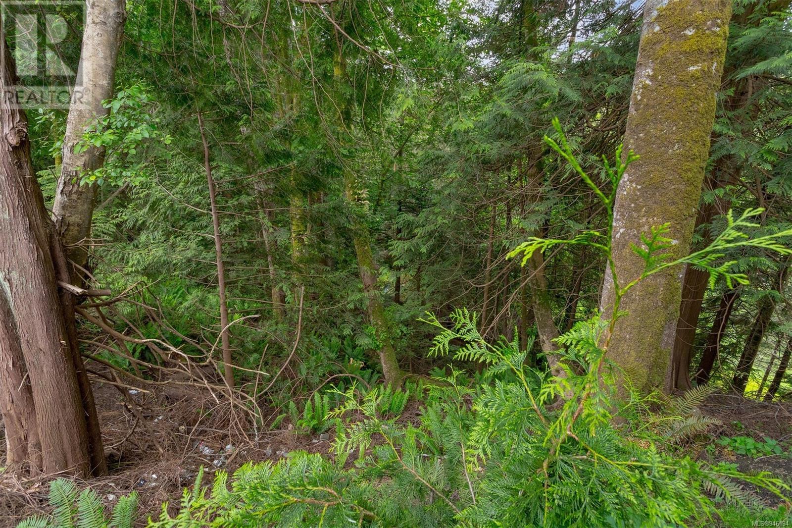 9 2670 Sooke River Rd, #9