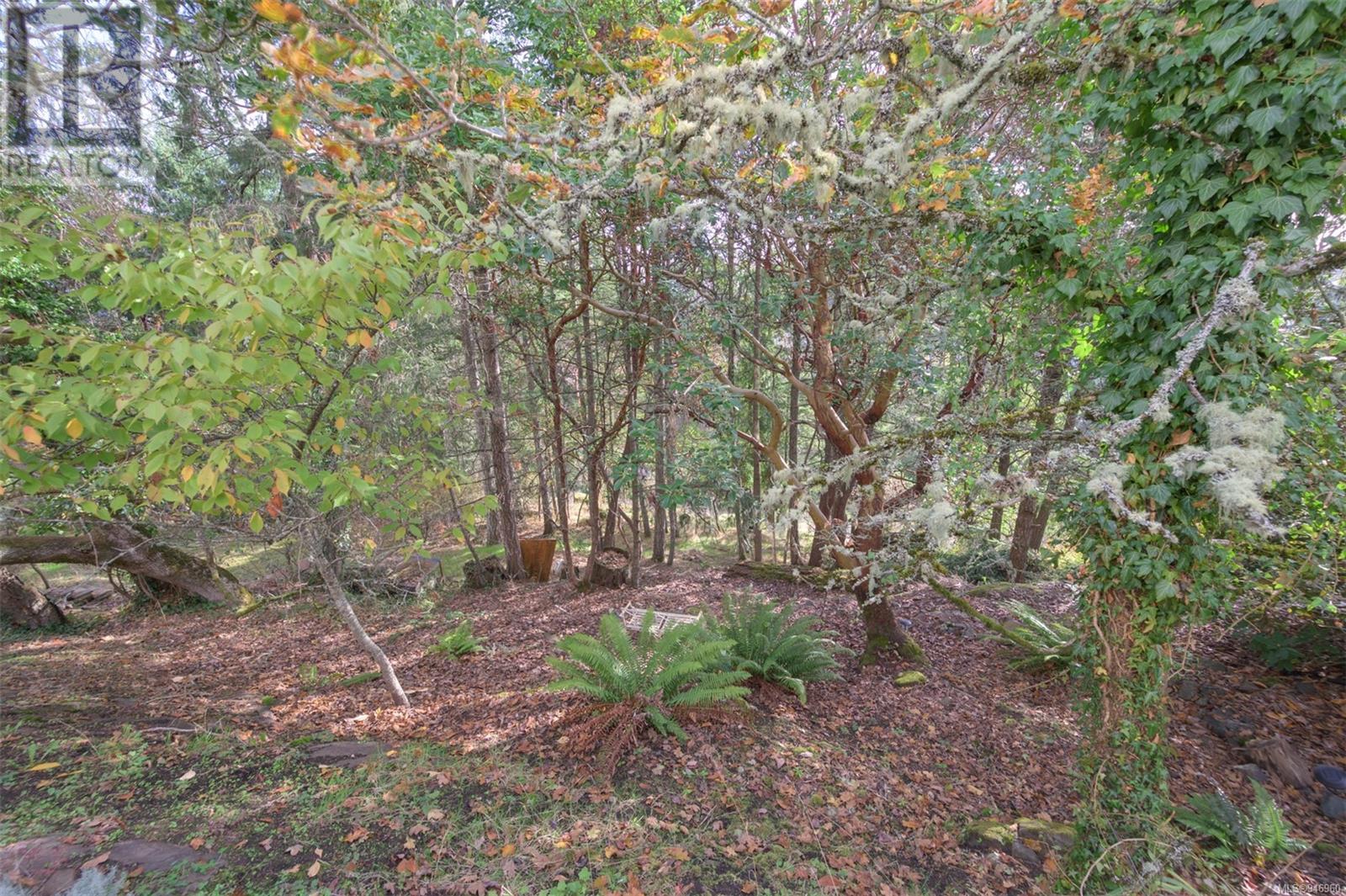 3381 Haida Dr