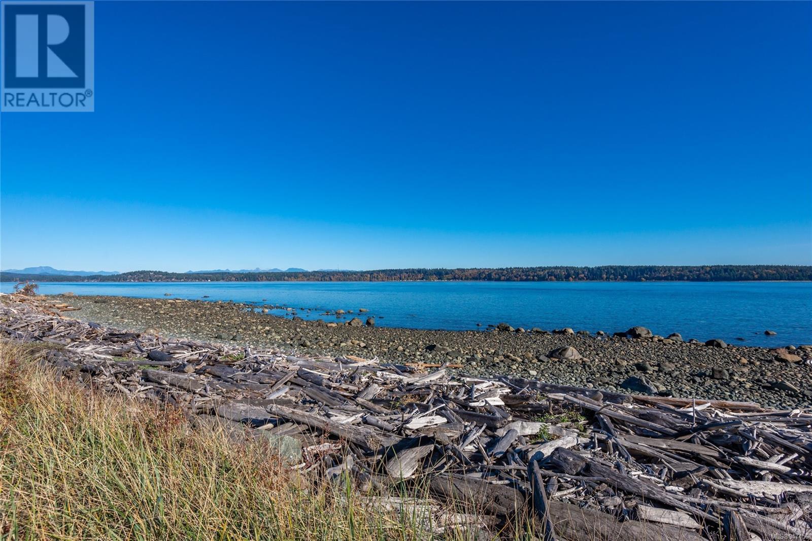 217 350 Island Hwy S, #217