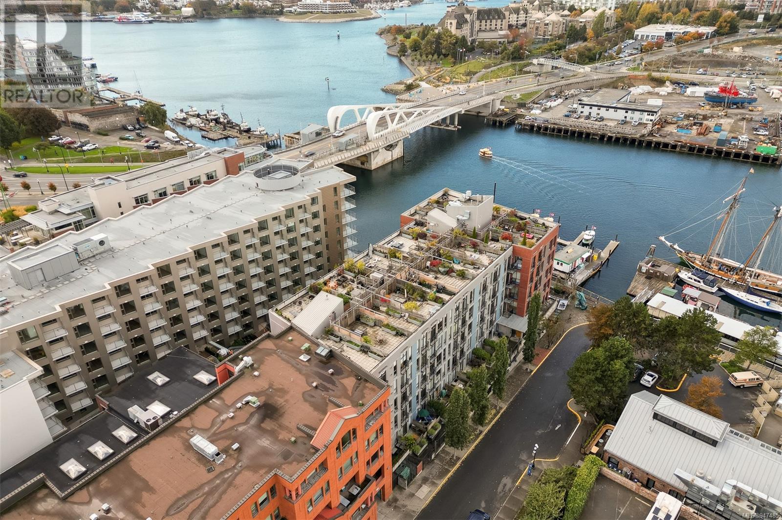 221 409 Swift St, #221