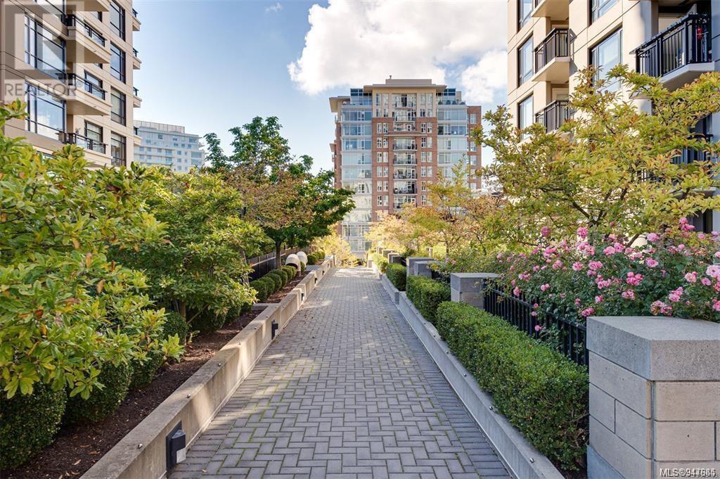 1703 751 Fairfield Rd, #1703