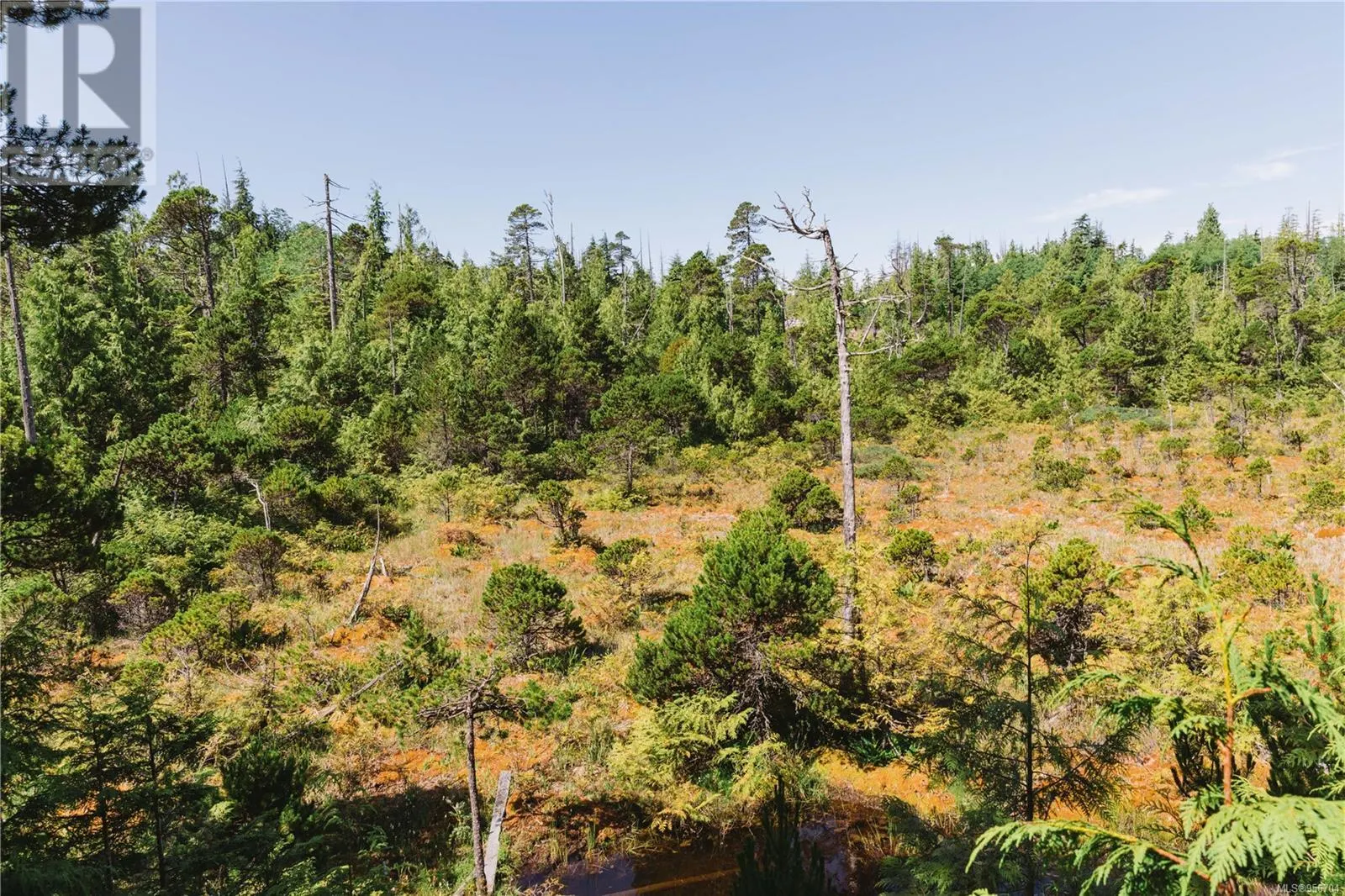 LOT 4 Hawkes Rd