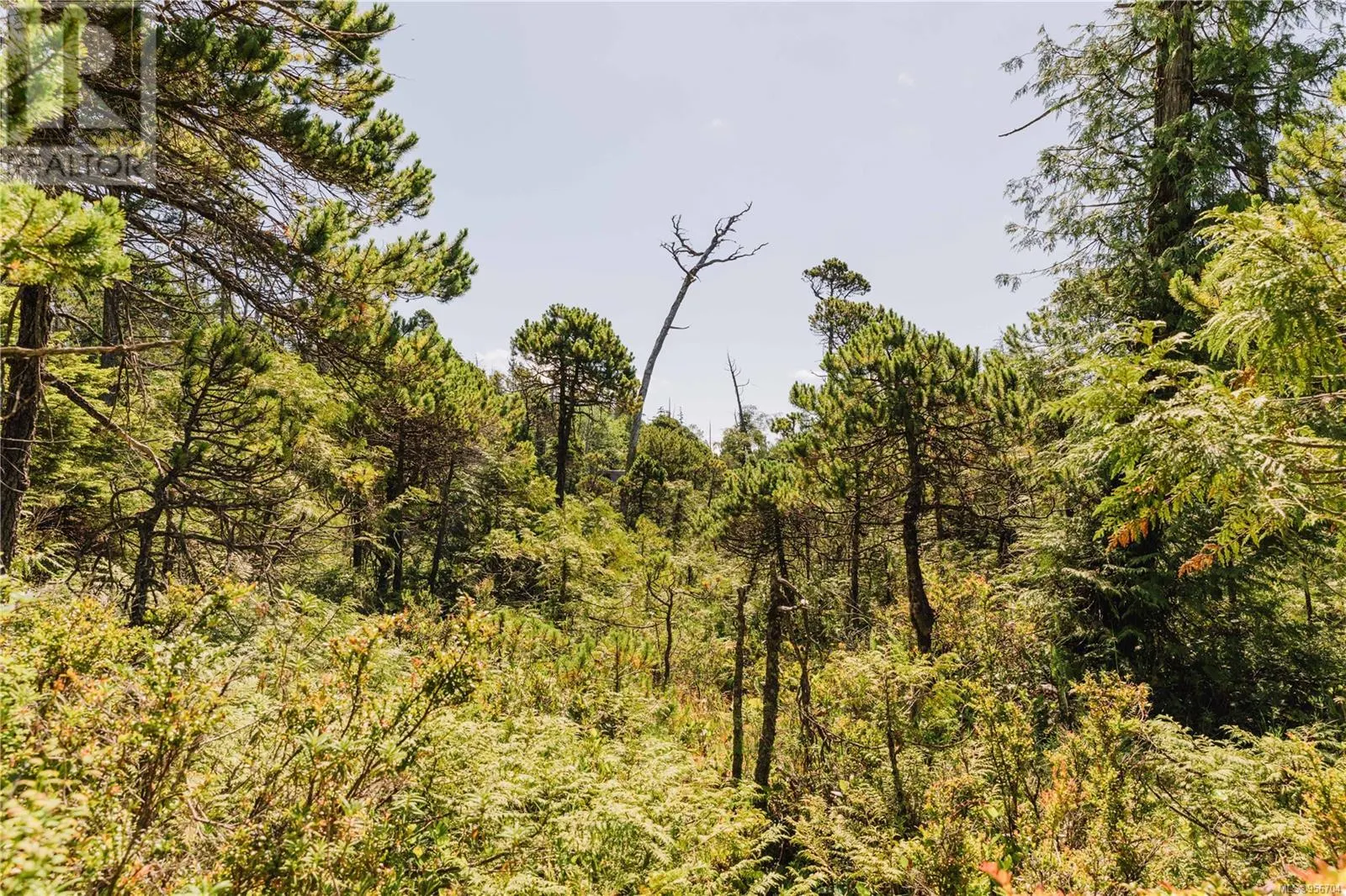 LOT 4 Hawkes Rd
