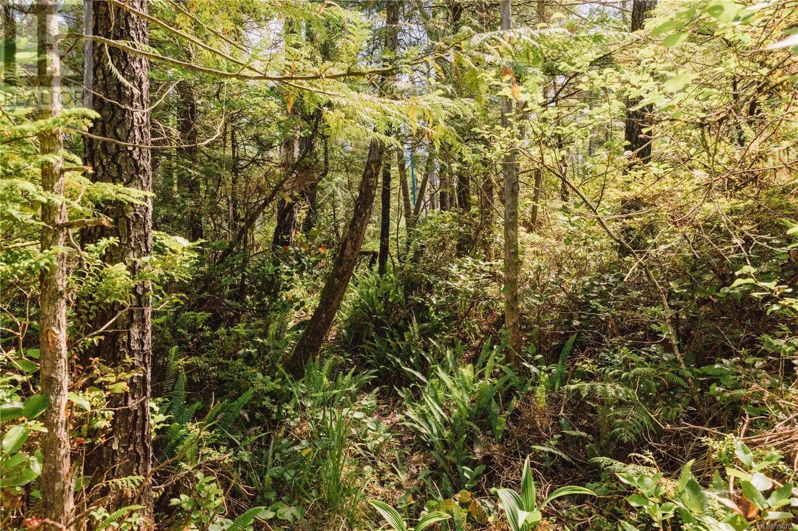 LOT 4 Hawkes Rd