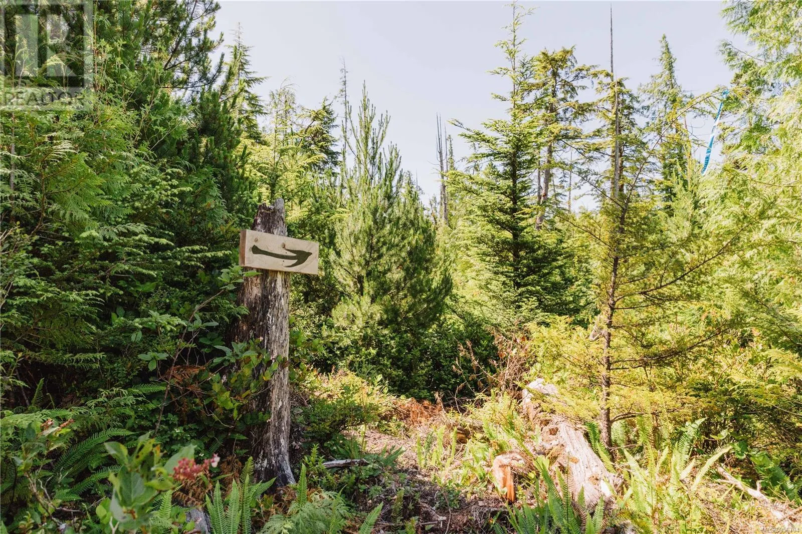 LOT 4 Hawkes Rd