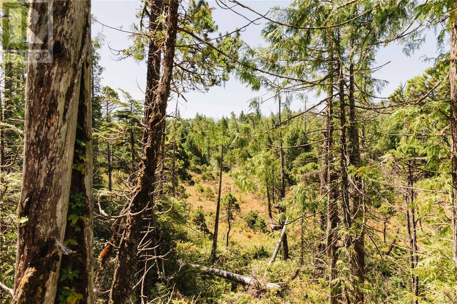 LOT 4 Hawkes Rd