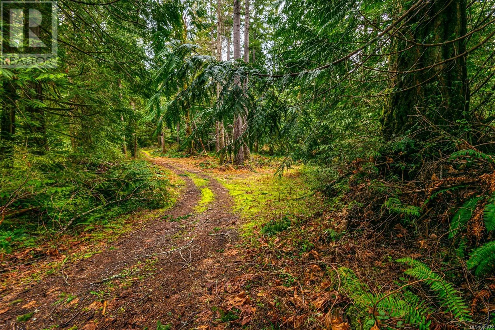Lot 13 Island Hwy W
